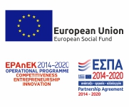 EU Social Fund Image